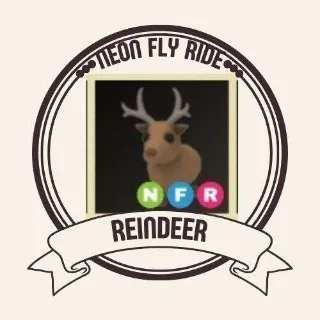 NFR REINDEER