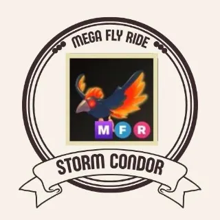 MFR STORM CONDOR