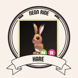 NR HARE