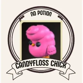 CANDYFLOSS CHICK
