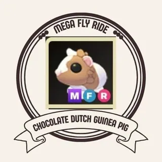 MFR CHOCOLATE DUTCH GUINEA PIG
