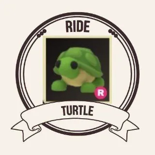 TURTLE RIDE