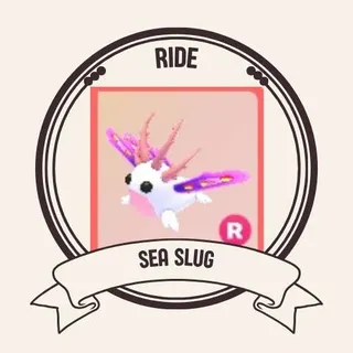 RIDE SEA SLUG
