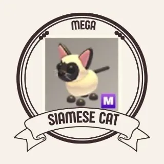 MEGA SIAMESE CAT