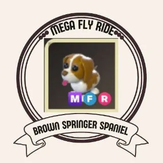 MFR BROWN SPRINGER SPANIEL