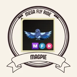 mfr magpie