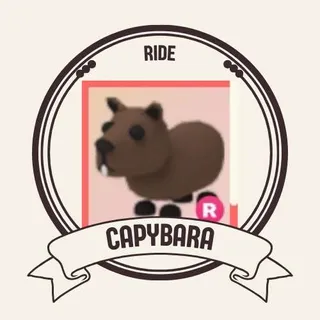 RIDE CAPYBARA