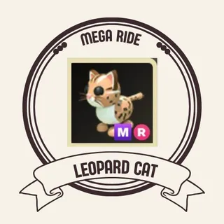 MR LEOPARD CAT