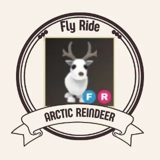 FR Arctic Reindeer