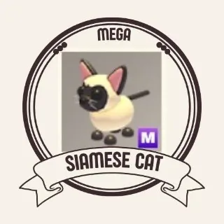 MEGA SIAMESE CAT