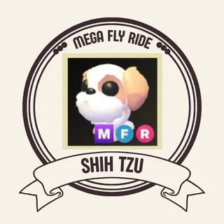 mfr shih tzu