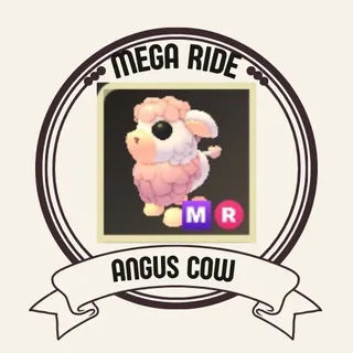 MR ANGUS COW
