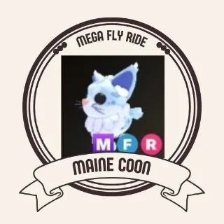 MFR MAINE COON