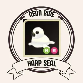 NR HARP SEAL