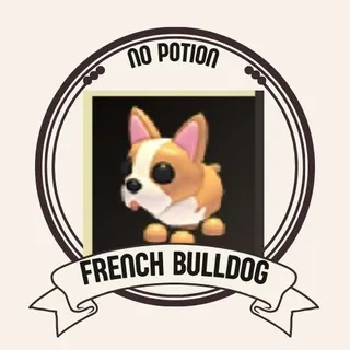 FRENCH BULLDOG