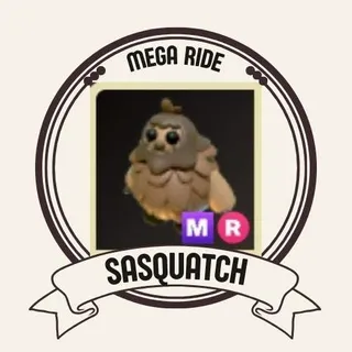 MR SASQUATCH