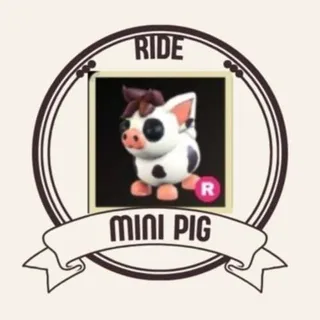 R MINI PIG