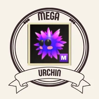 mega urchin