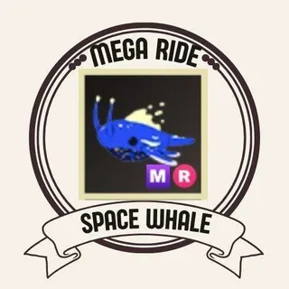 MR SPACE WHALE