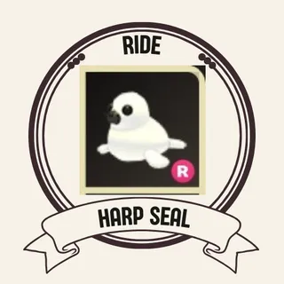 R HARP SEAL 