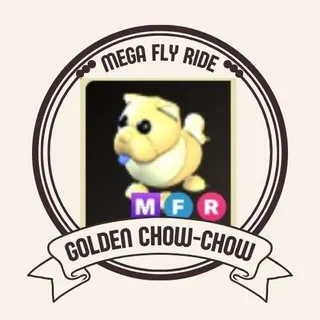 MFR GOLDEN CHOW-CHOW