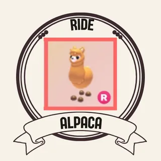 R alpaca 