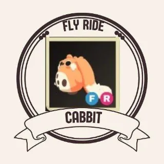 FR CABBIT