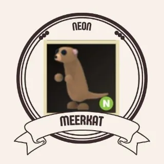 NEON MEERKAT