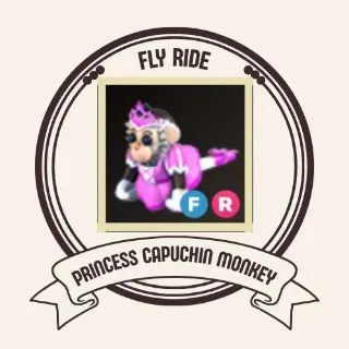 FR PRINCESS CAPUCHIN MONKEY
