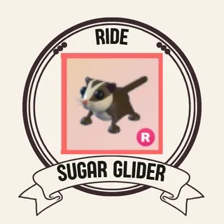 R SUGAR GLIDER