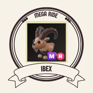 mr ibex