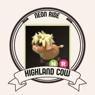 NR HIGHLAND COW