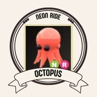NR OCTOPUS