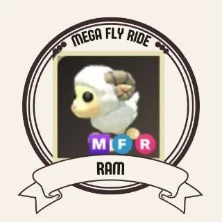 MFR RAM