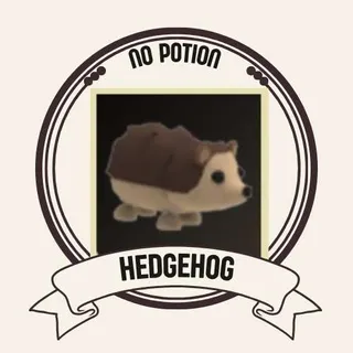 HEDGEHOG NO TRICKS