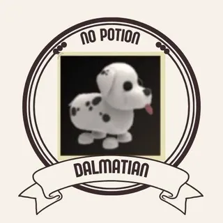 DALMATIAN