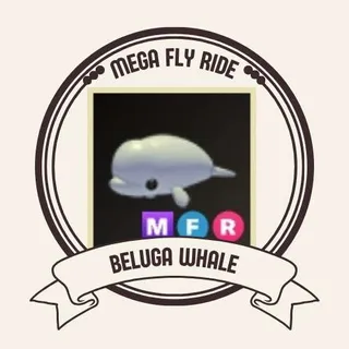 MFR BELUGA WHALE
