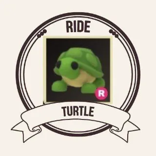 TURTLE RIDE