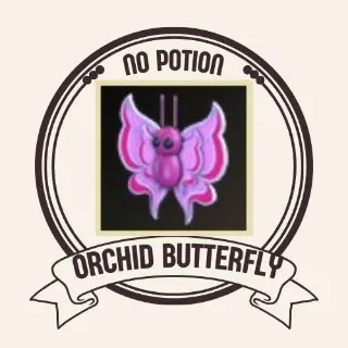 ORCHID BUTTERFLY
