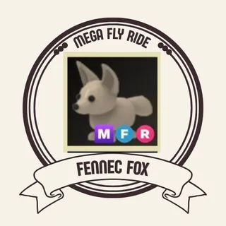 mfr fennec fox