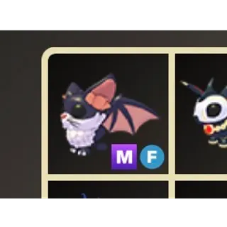MF KITTY BAT