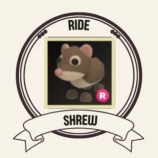 R SHREW