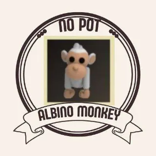 ALBINO MONKEY