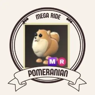 MEGA POMERANIAN