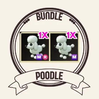 2x poodle
