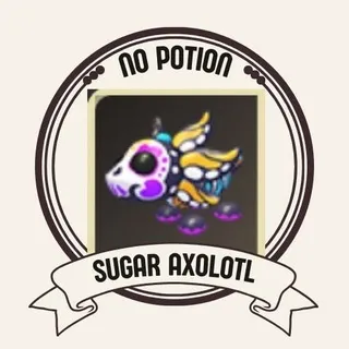 SUGAR AXOLOTL