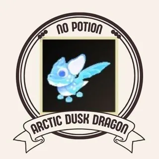 ARCTIC DUSK DRAGON
