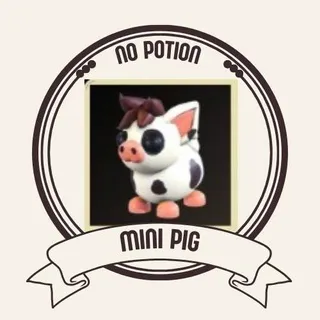 MINI PIG