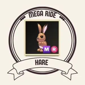 MR HARE