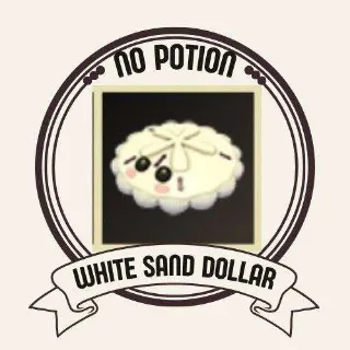 WHITE SAND DOLLAR